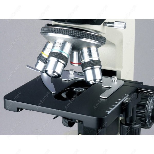 Microscopio Biológico Binocula - Microscope Compound 40X reseña y precio