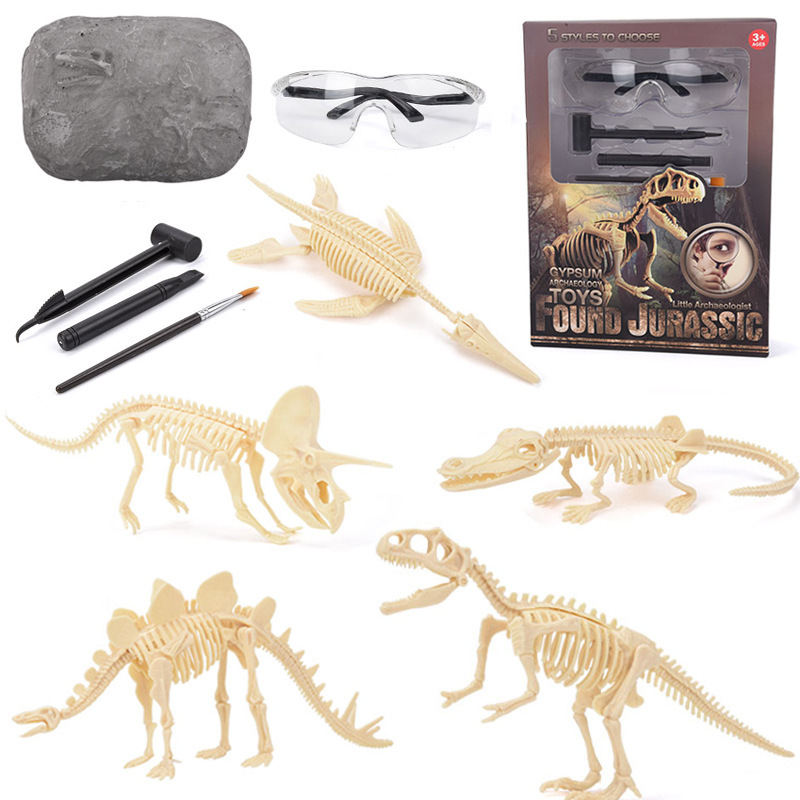 Kit de Excavación de Fósiles d - Science Kit reseña y precio